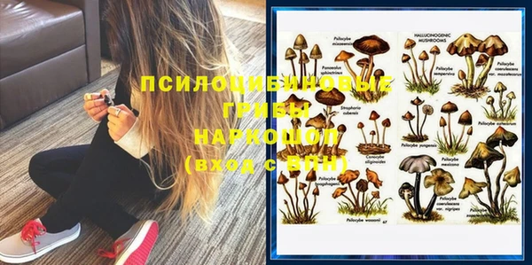 прущий лед Ельня